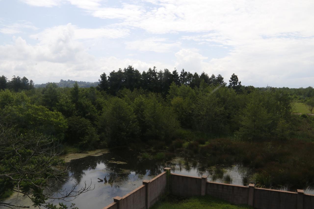 Villa Gardenia Ureki Oda fotoğraf
